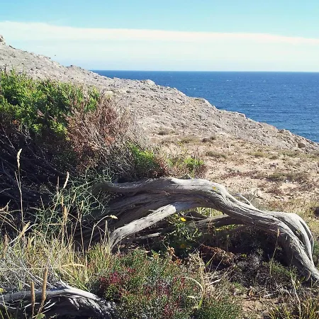 Bed & Breakfast Il Girasole Sant'Anna Arresi