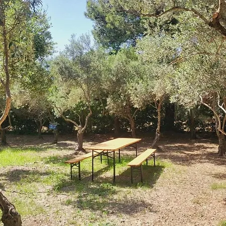 Couette-café Il Girasole 4*