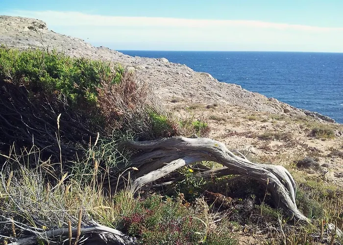 Panzió Il Girasole SantʼAnna Arresi